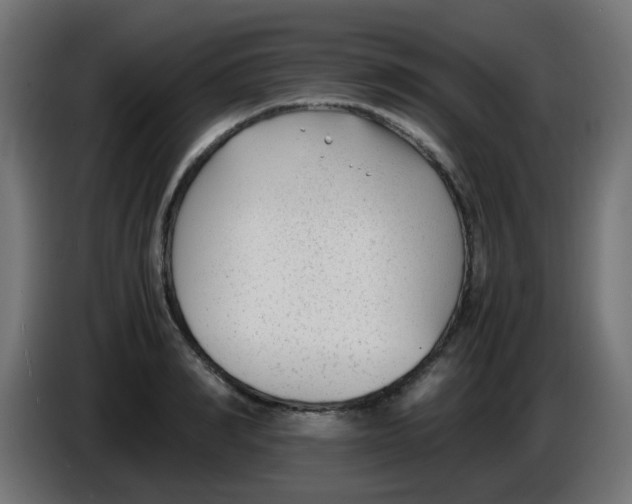 X0000086040990200704131931