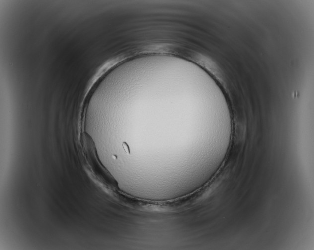 X0000086040994200704131931