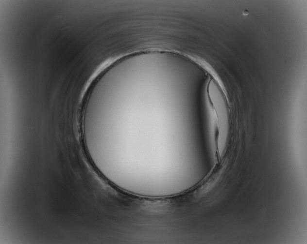 X0000086040997200704131931