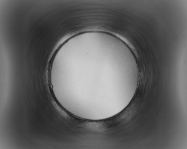 X0000086040998200704131931