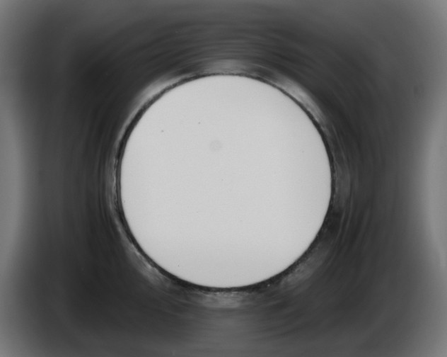 X0000086041000200704131931