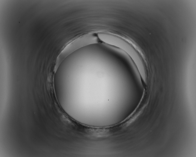 X0000086041001200704131931