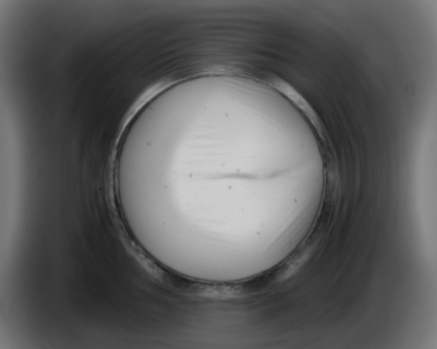 X0000086041002200704131930