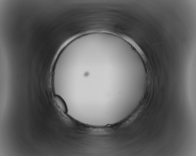 X0000086041004200704131930