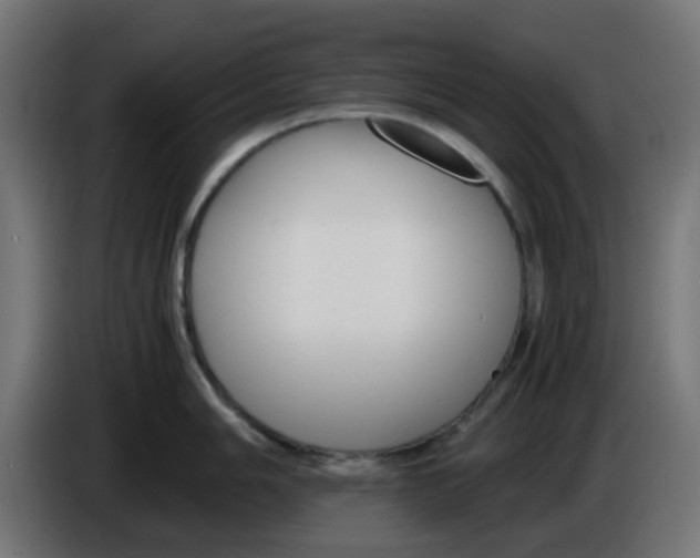 X0000086041006200704131930
