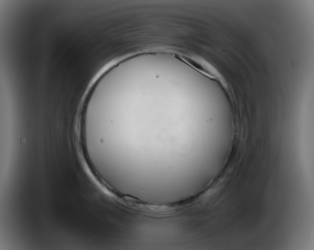 X0000086041007200704131930