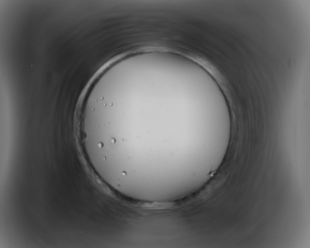X0000086041008200704131930