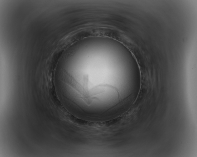 X0000086041013200704131930