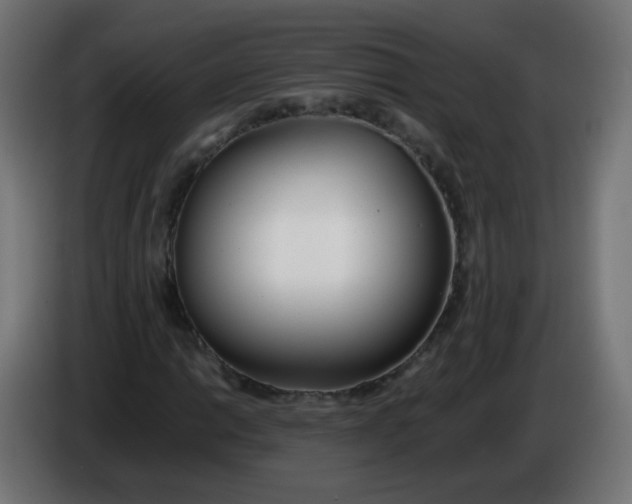 X0000086041014200704131930