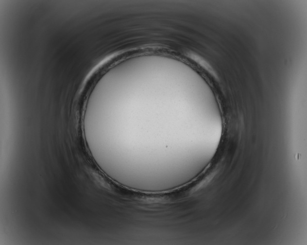 X0000086041021200704131930