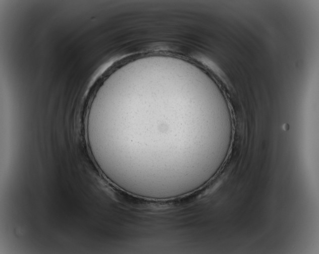 X0000086041023200704131930