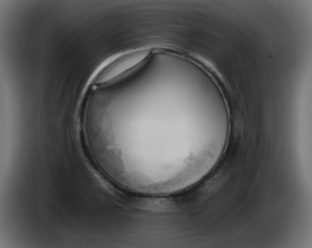 X0000086041024200704131930