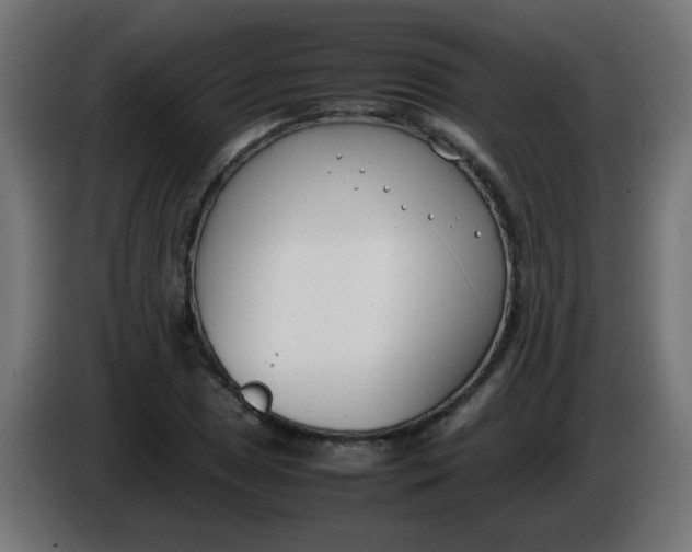 X0000086041025200704131930