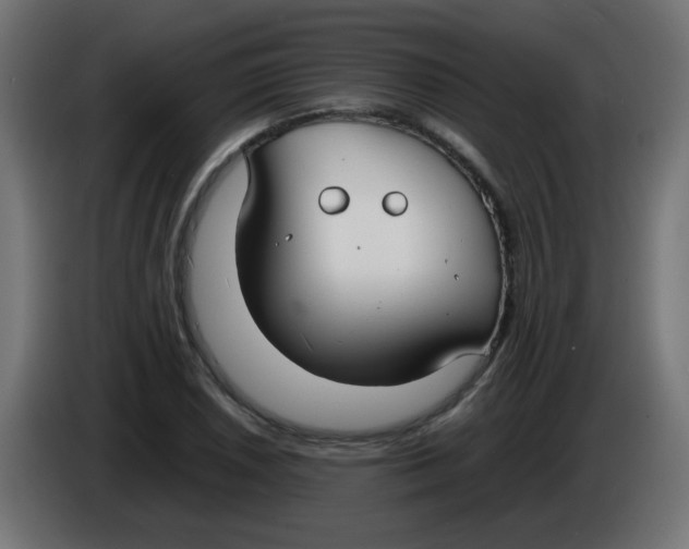 X0000086041026200704131930