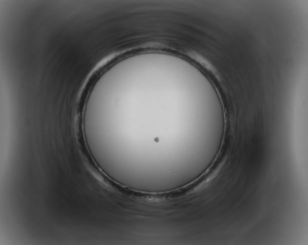 X0000086041029200704131930