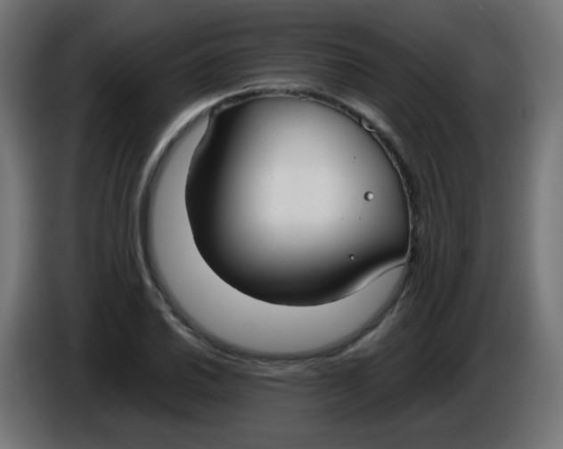 X0000086041030200704131930