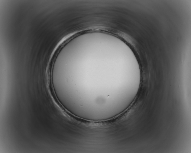 X0000086041032200704131930