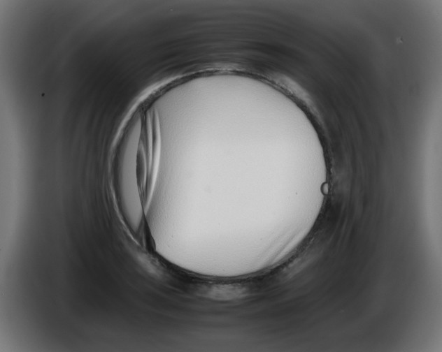 X0000086041035200704131930