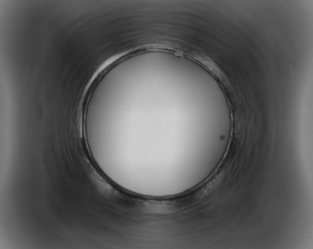 X0000086041036200704131930