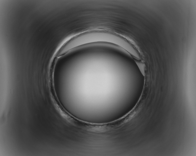 X0000086041038200704131930