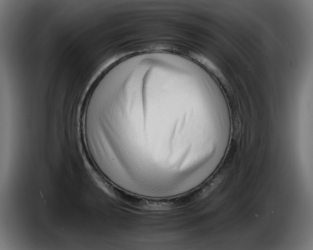 X0000086041039200704131930