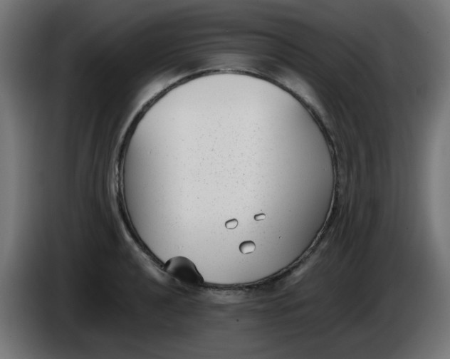 X0000086041040200704131930