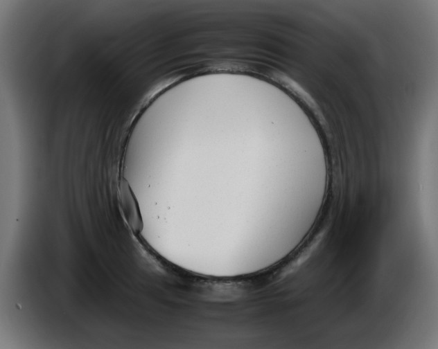 X0000086041041200704131930