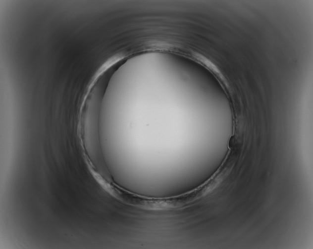 X0000086041042200704131930