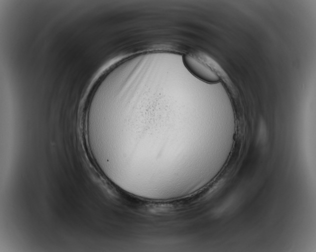 X0000086041043200704131930