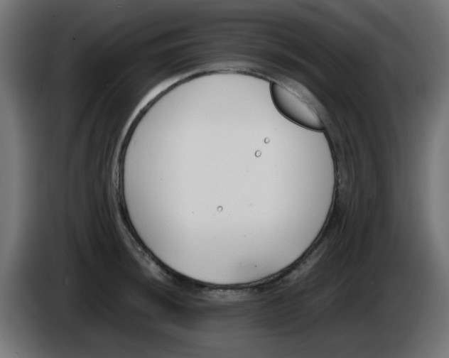 X0000086041044200704131930