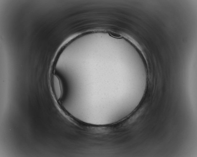 X0000086041045200704131930