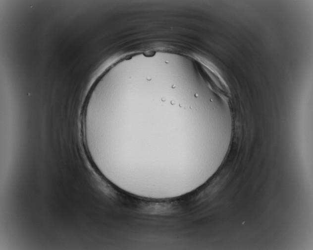 X0000086041047200704131930