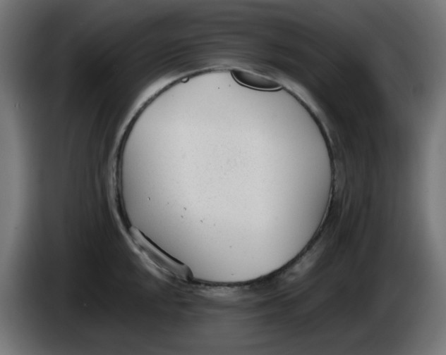 X0000086041048200704131930
