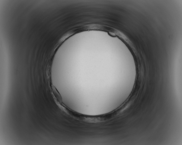 X0000086041049200704131930