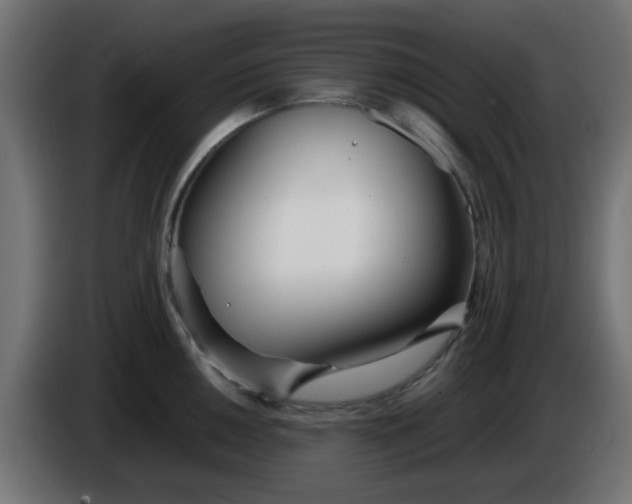X0000086041050200704131930