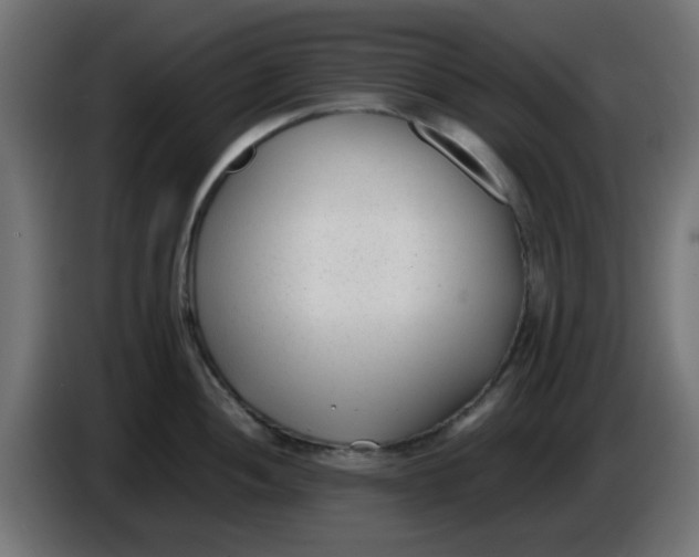 X0000086041052200704131930
