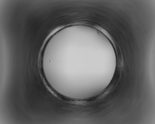 X0000086041053200704131930