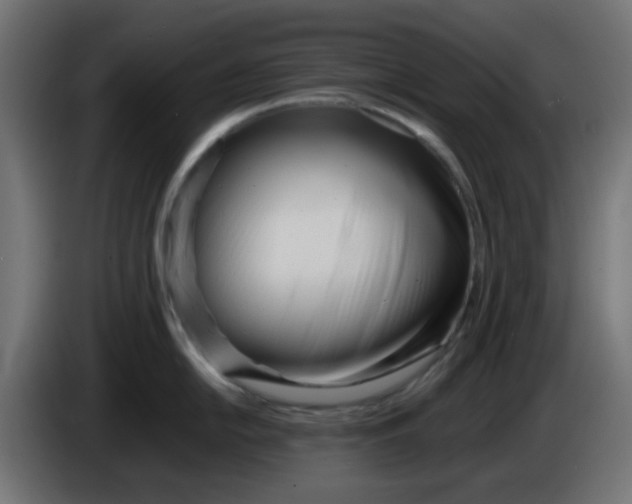 X0000086041054200704131930
