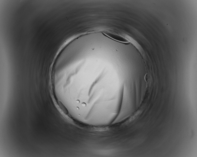 X0000086041055200704131930