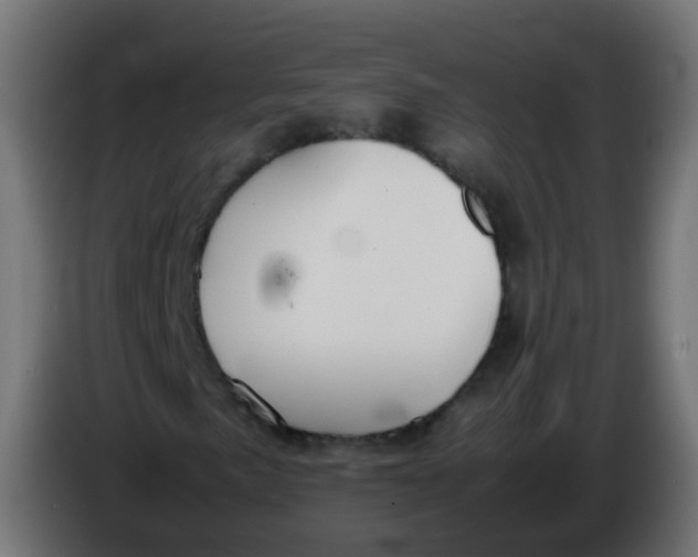 X0000086041057200704131930