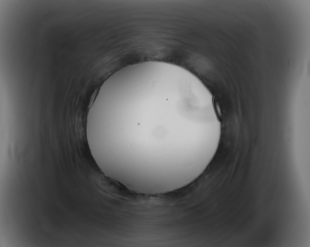 X0000086041058200704131930