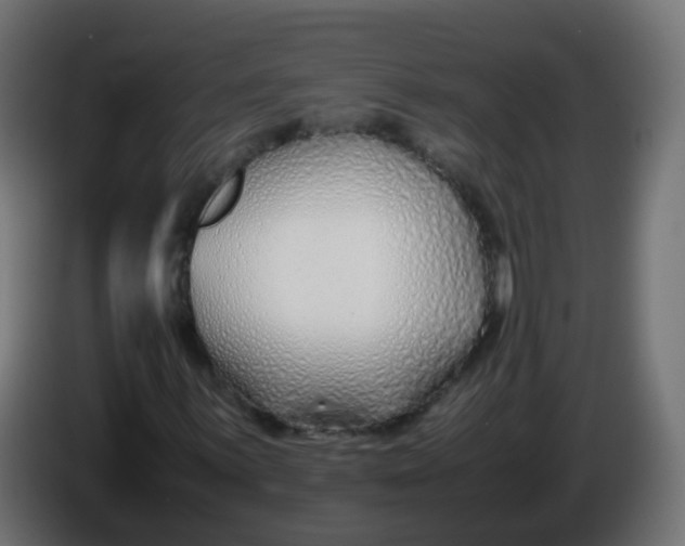 X0000086041059200704131930