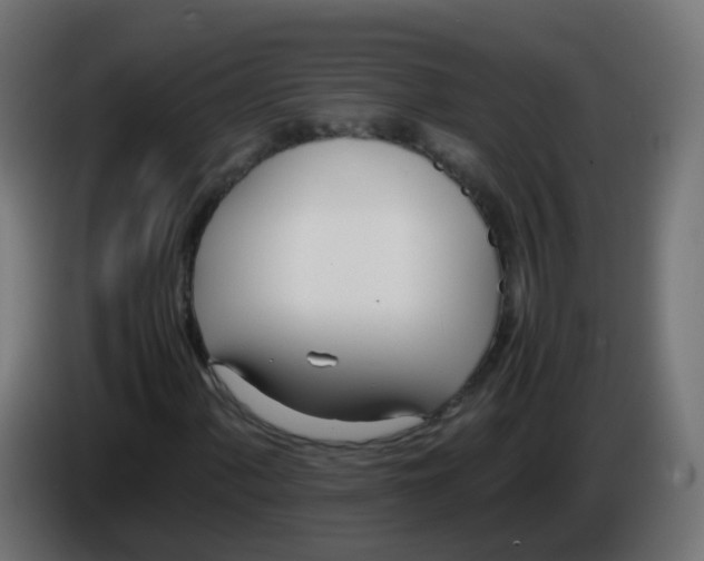 X0000086041060200704131930