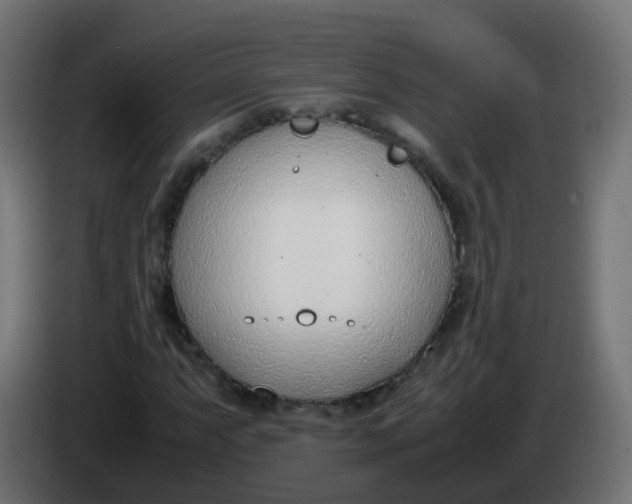 X0000086041063200704131930