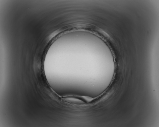 X0000086041065200704131930