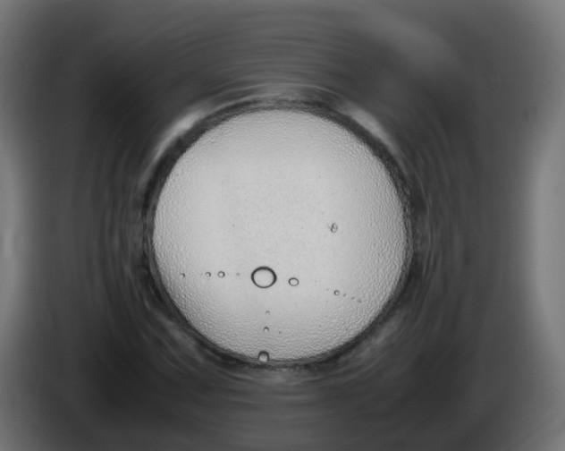 X0000086041067200704131930