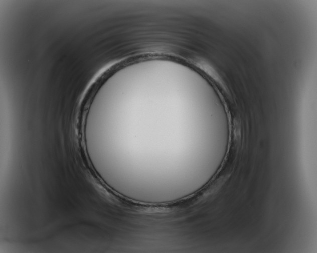 X0000086041068200704131930