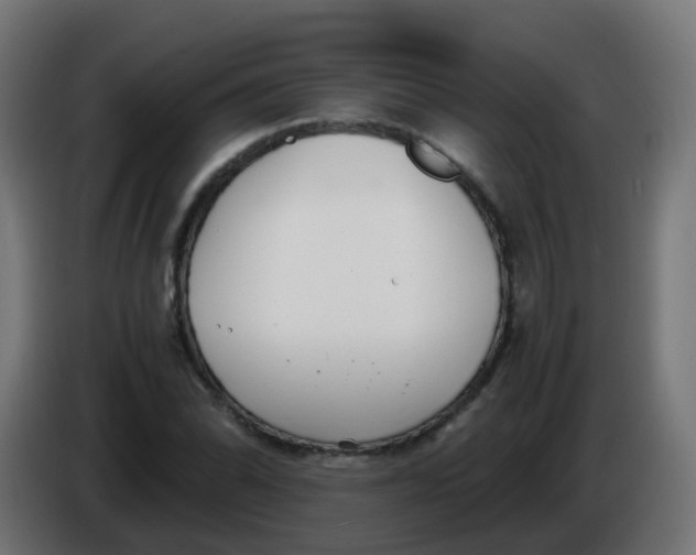 X0000086041070200704131930