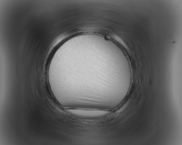 X0000086041071200704131930
