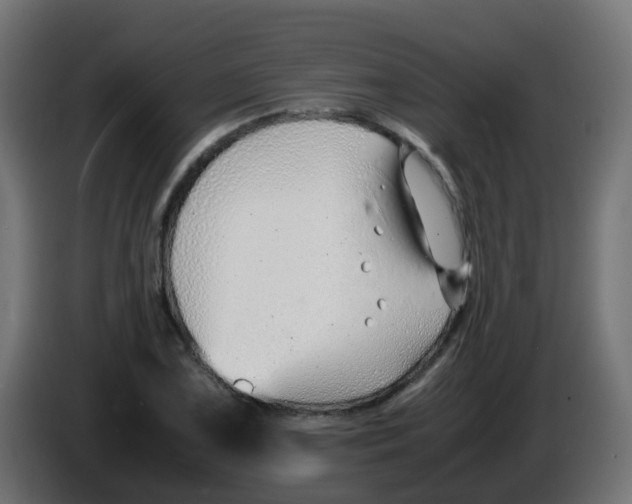 X0000086041075200704131929
